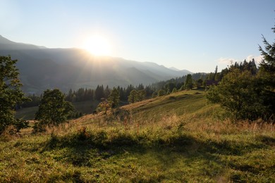 Morning sun shining over pasture in mountains