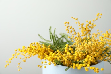 Bouquet of beautiful mimosa flowers on light background, closeup