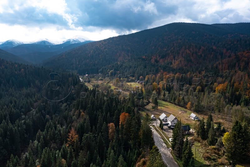 Aerial view of beautiful forest, road and mountain village on autumn day