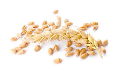 Pile of wheat grains and spike on white background