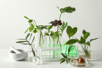 Ceramic mortar and laboratory glassware with plants on white background. Chemistry concept