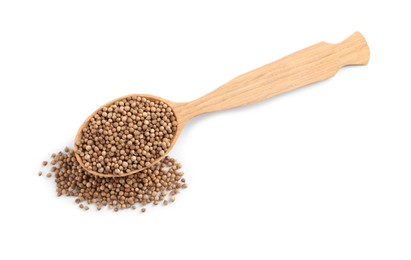 Photo of Dried coriander seeds with wooden spoon on white background, top view