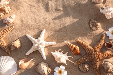 Flat lay composition with starfishes and seashells on sandy beach. Space for text