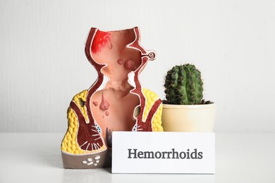 Model of unhealthy lower rectum, cactus and card with word Hemorrhoids on light background