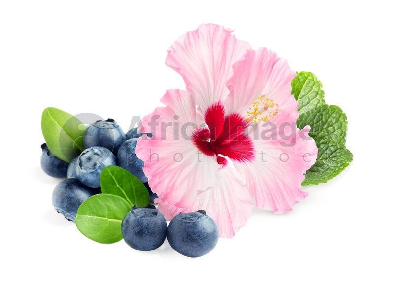 Beautiful hibiscus flower, fresh tasty blueberries and mint on white background