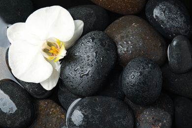 Photo of Stones and orchid flower in water as background, top view. Zen lifestyle