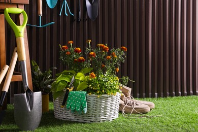 Photo of Beautiful plants, gardening tools and accessories on green grass near wood slat wall. Space for text