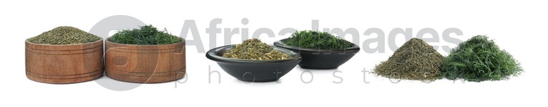 Set with dry and fresh dill on white background. Banner design