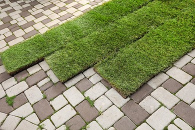 Unrolled grass sods on pavement in backyard