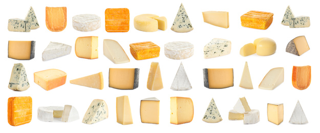 Set with different sorts of cheese on white background. Banner design