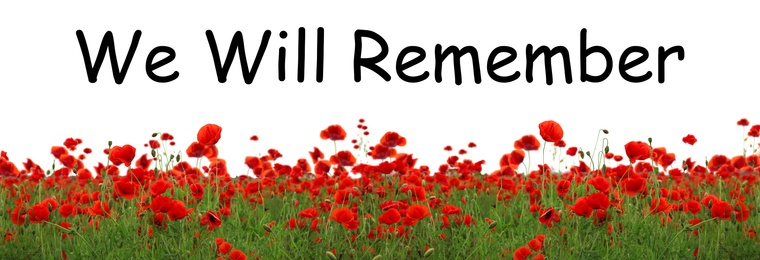 Image of Remembrance day banner. Red poppy flowers in field and text We will Remember on white background