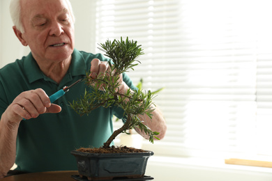 Senior man taking care of Japanese bonsai plant indoors, space for text. Creating zen atmosphere at home