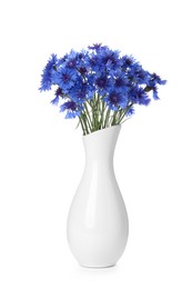 Beautiful bouquet of cornflowers in vase isolated on white