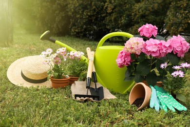 Beautiful blooming plants, gardening tools and accessories on green grass outdoors