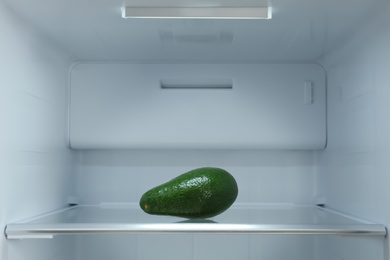 Fresh avocado on shelf of modern refrigerator
