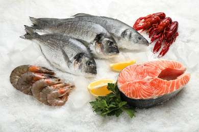 Fresh fish and different seafood on ice