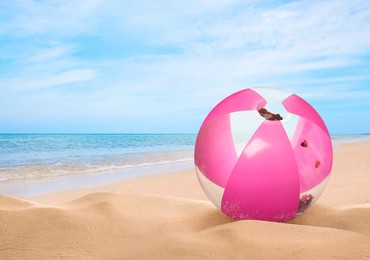 Pink beach ball on sandy coast near sea, space for text 