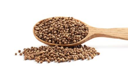 Photo of Dried coriander seeds with wooden spoon on white background