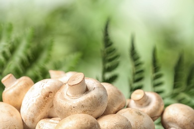 Fresh champignon mushrooms on blurred background, closeup view