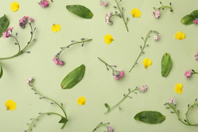 Photo of Beautiful composition with forget-me-not flowers on light green background, flat lay