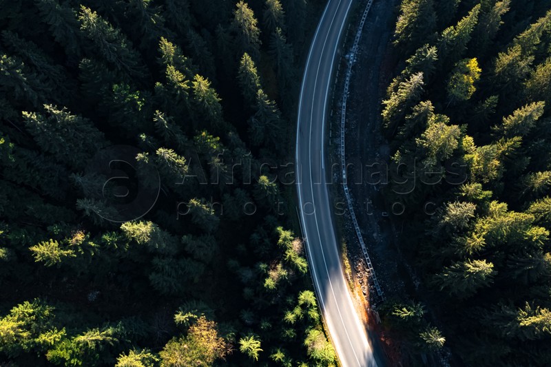 Aerial view of asphalt road surrounded by coniferous forest on sunny day. Drone photography