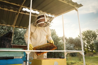 Beekeeper in uniform with honey frame at apiary