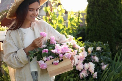 Young woman holding crate with beautiful tea roses in garden, closeup