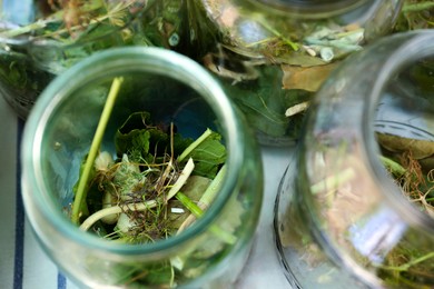 Photo of Glass jar with different herbs on table, above view. Pickling vegetables