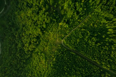 Aerial view of road surrounded by forest with beautiful green trees