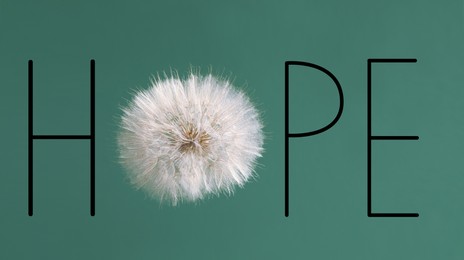 Image of Word HOPE made with letters and dandelion flower on green background