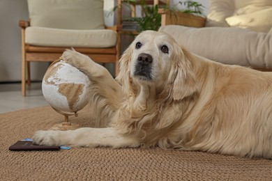 Cute golden retriever lying near passport, tickets and globe on floor at home. Travelling with pet