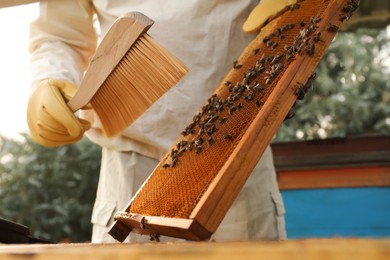 Beekeeper in uniform brushing honey frame at apiary, closeup