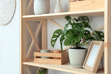 Photo of Monstera in pot on shelving unit indoors. House plant
