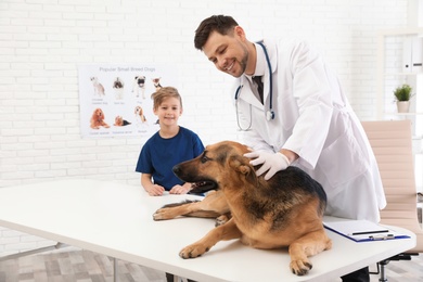 Boy with his pet visiting veterinarian in clinic. Doc examining dog