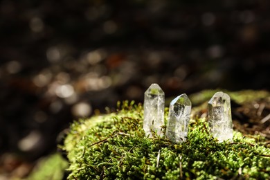 Photo of Clear quartz crystals on green moss in forest. Space for text