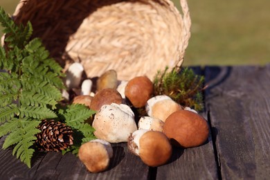 Overturned basket with mushrooms, fern leaves, cone and moss on wooden table outdoors