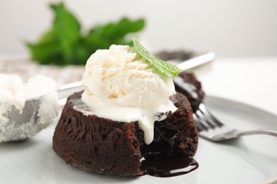 Delicious fresh fondant with hot chocolate, ice cream  and mint served on plate, closeup