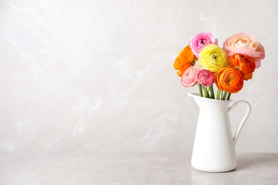 Beautiful ranunculus flowers in white jug on table. Space for text