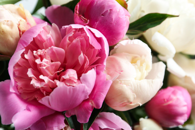 Closeup view of beautiful fragrant peony flowers