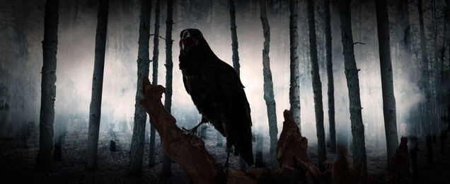 Black crow croaking in creepy misty forest, banner design. Fantasy world