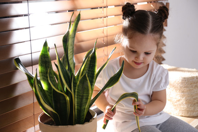 Curious little girl breaking houseplant at home