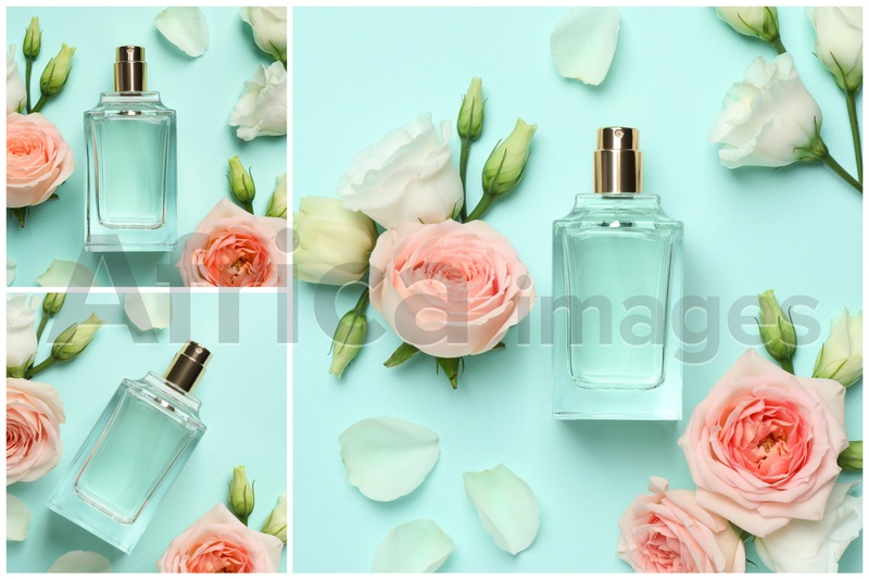 Image of Creative collage with photos of luxury perfume and beautiful flowers on color backgrounds 