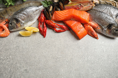 Fresh raw fish and different seafood on light grey table. Space for text