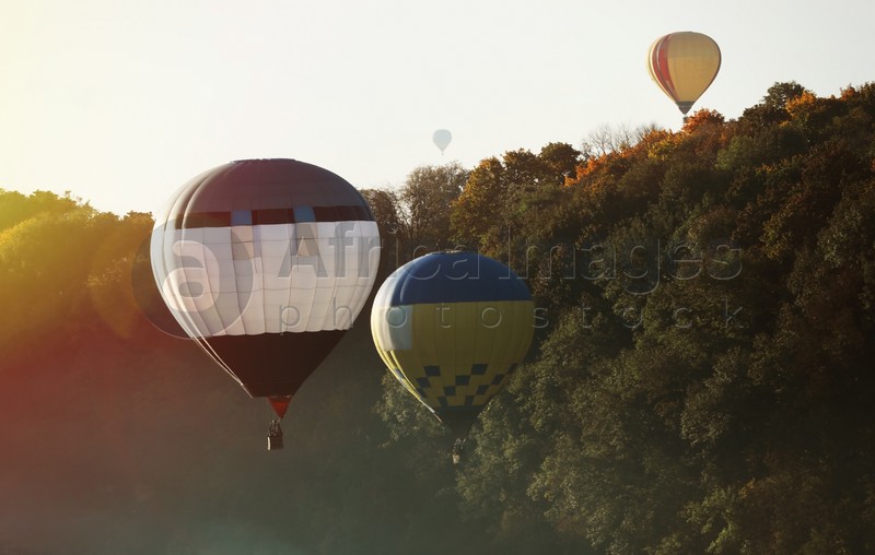 Beautiful view of hot air balloons flying over autumn forest
