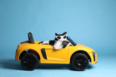 Funny cat with sunglasses in toy car on light blue background