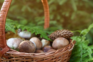 Basket full of fresh mushrooms in forest, closeup