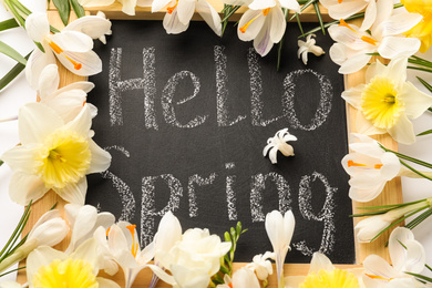Fresh flowers on blackboard with words HELLO SPRING, closeup