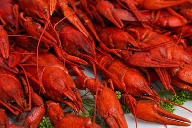 Closeup view of delicious red boiled crayfish