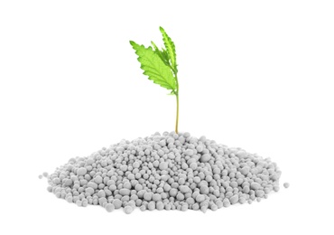 Pile of chemical fertilizer and green plant isolated on white. Gardening time