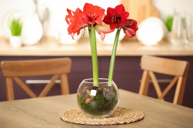 Photo of Beautiful red amaryllis flowers on wooden table indoors